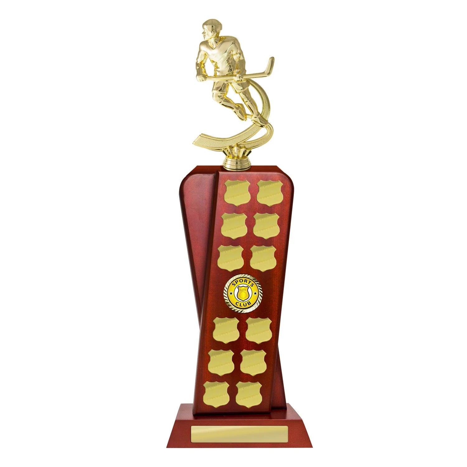 Ice Hockey Perpetual Trophies
