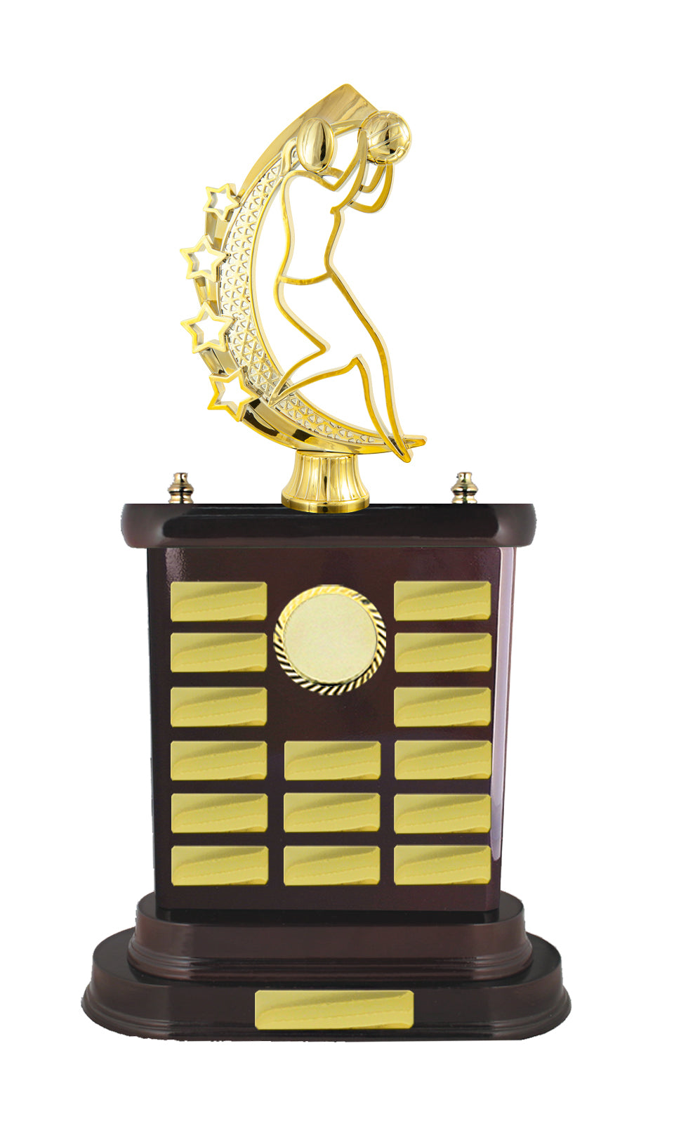 Netball Perpetual Trophies