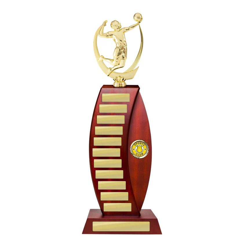 Volleyball Perpetual Trophies
