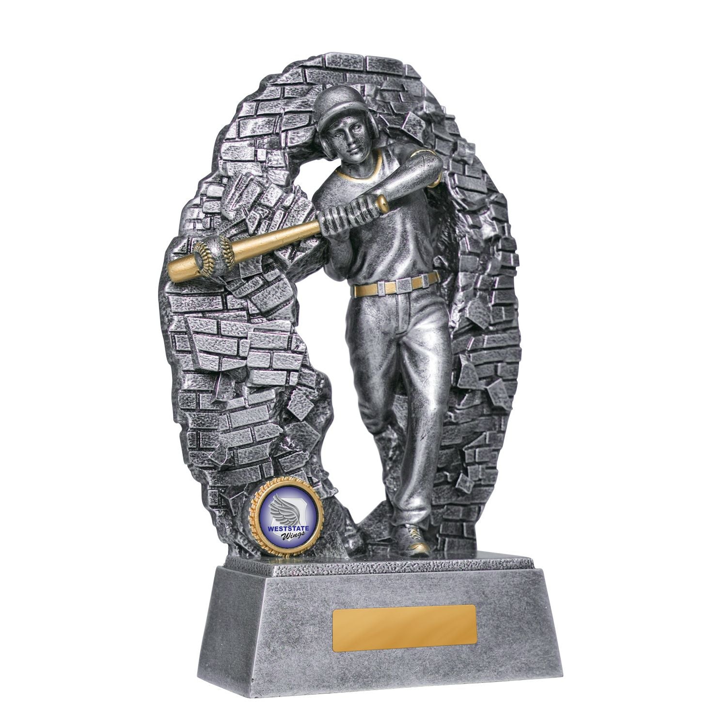 Crash Through Baseball Male