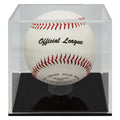 Baseball/Softball Ball Case